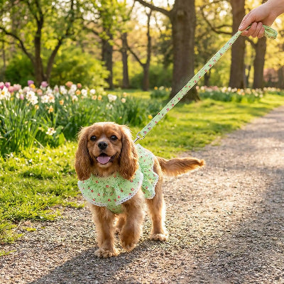 harnais chien randonnée 
  force et confort vert balade au parc avec maitre