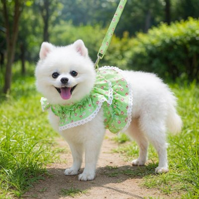 harnais chien randonnée force et confort vert