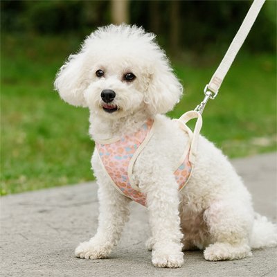 Harnais chien randonnée rose confort