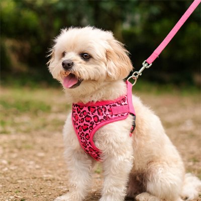 Harnais chien randonnée rose rouge du plaisir
