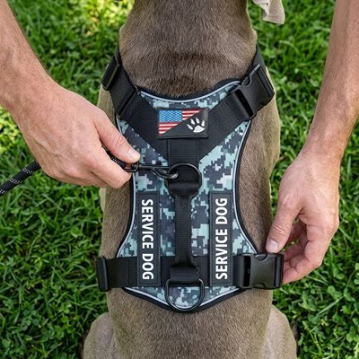 Harnais confort chien vert armée 