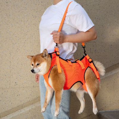 harnais de lavage chien orange sur epaule de son maitre