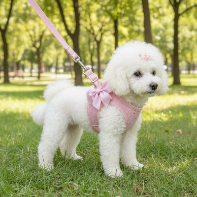 harnais petit chien rose sur un parc