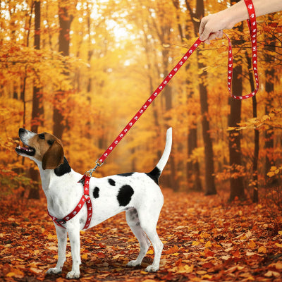 harnais pour chien rouge maitre promene feuilles arbres automne
