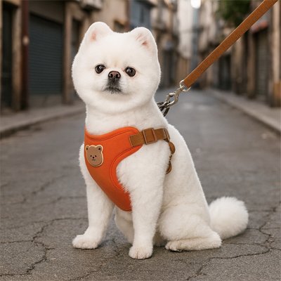 Harnais pour petit Chien rouge assis sur une rue