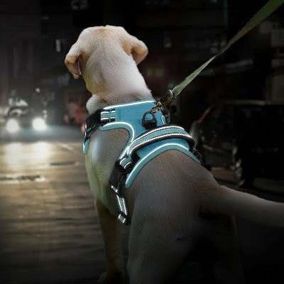 harnais randonnee chien nature rose maitre