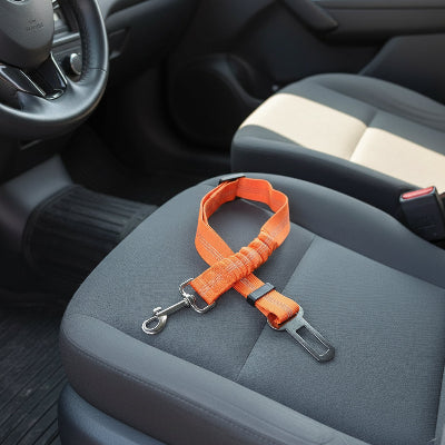 harnais voiture chien assis banquette arriere avant