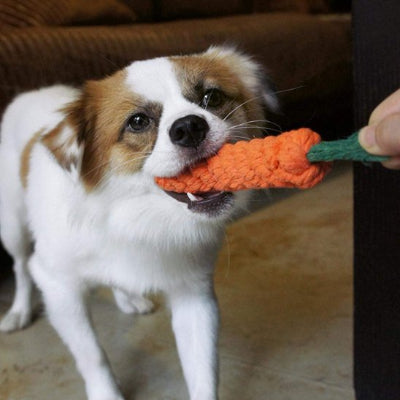 Jouet chien carotte