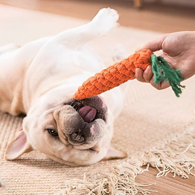 Jouet chien couché sur le tapis