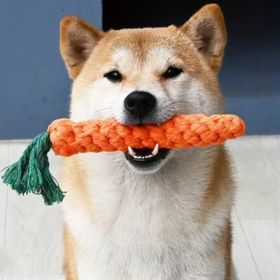 Jouet chien dans la bouche