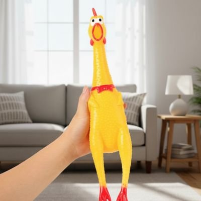 Jouet Chien poulet dans la main du maître au salon