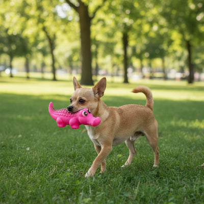 Jouet Chien rose dans la bouche petit chien