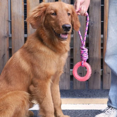 Jouet chien rose dans la main de son maître à côté