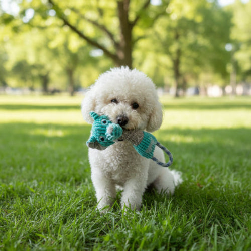 Jouet pour chien​ Éléphant parc