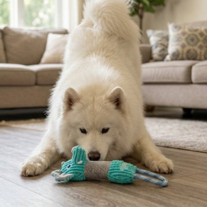 Jouet pour chien​ Éléphant salon