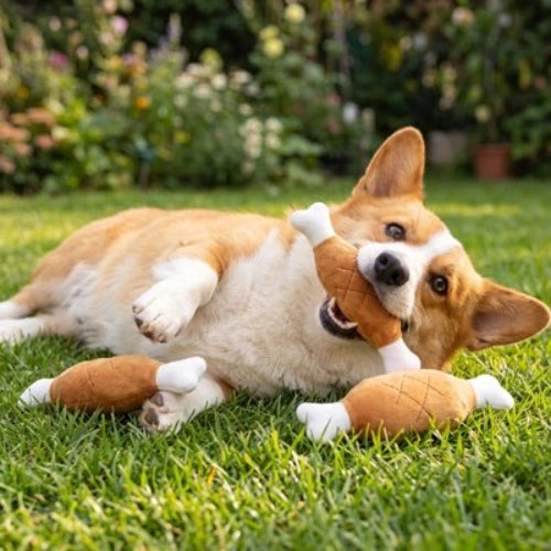 Jouet pour chien en peluche​ chien couché sur la pelouse