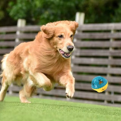 Jouet pour chien jaune bleu chien joue