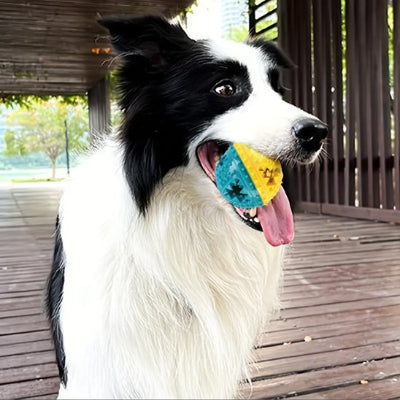 Jouet pour chien jaune bleu dans la bouche chien