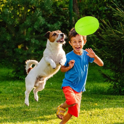 jouet pour chien joue avec enfant sur un parc