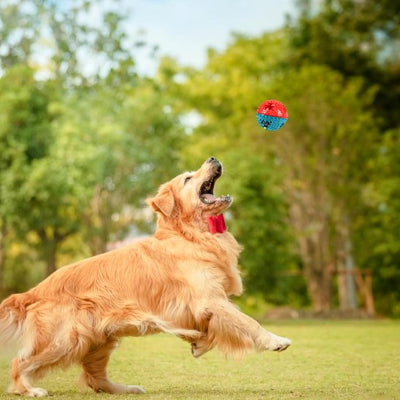 Jouet pour chien rouge bleu chien saute
