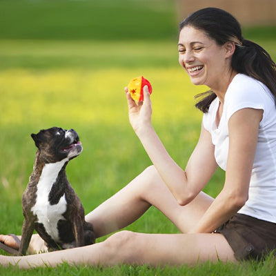 Jouet pour chien rouge jaune maître lui sourit