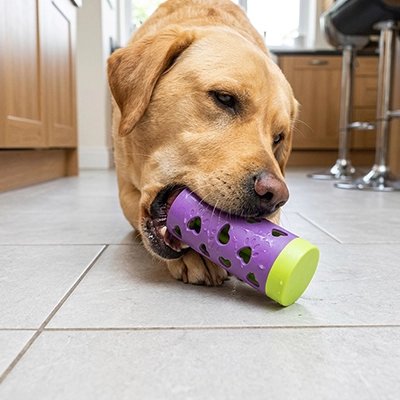 Jouets pour chien​ à la bouche
