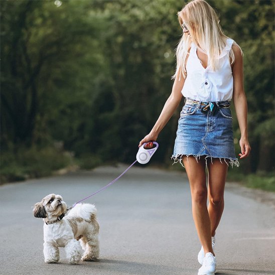 laisse chien enrouleur led nocturne rue maitre