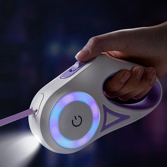 laisse chien enrouleur led nocturne violet