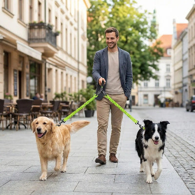 Laisse chien solide sécurisant vert chiens au centre ville avec maitre
