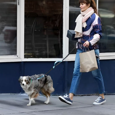 Laisse chien solide ultra resistante bleu chien marche avec son maitre apres magasiner 