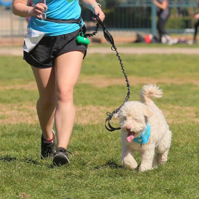 Laisse chien solide ultra resistante noir petit chien courir a cote son maitre