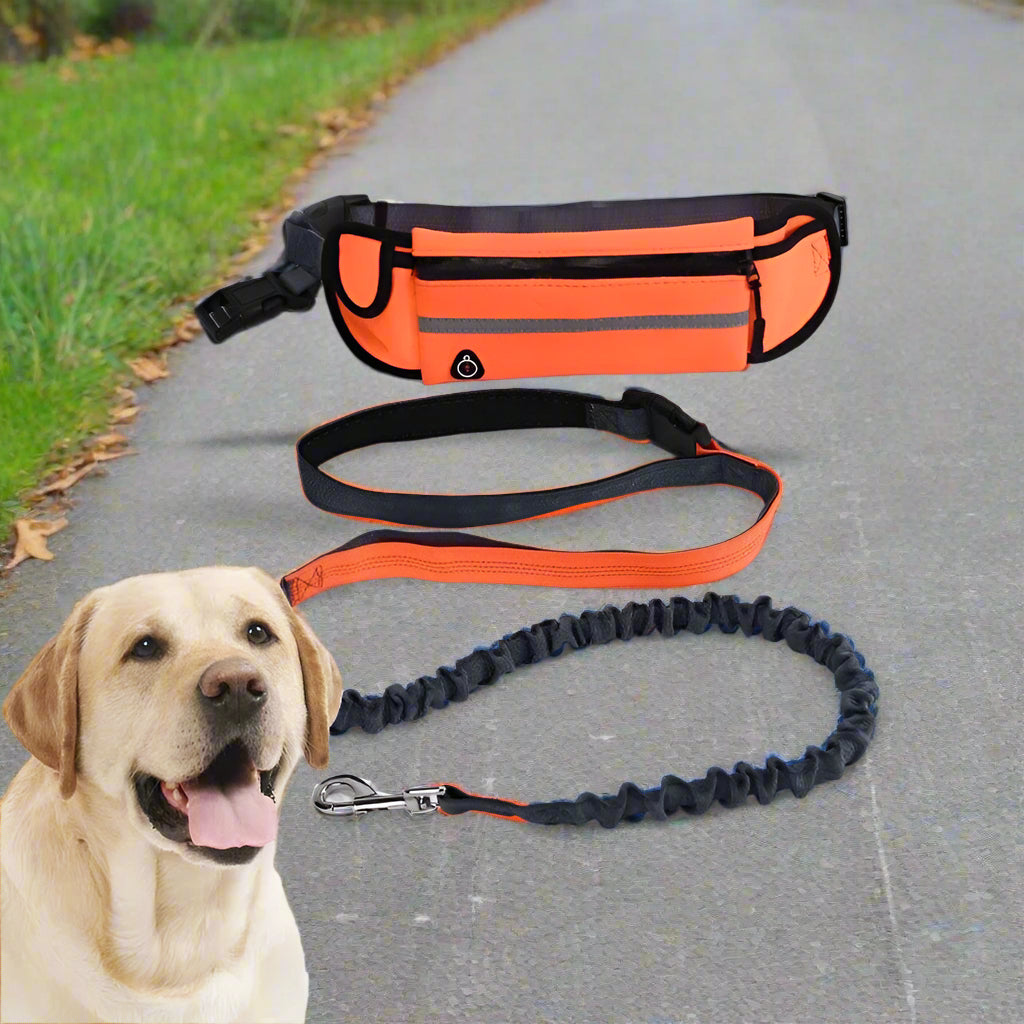 laisse corde pour chien devant orange rue