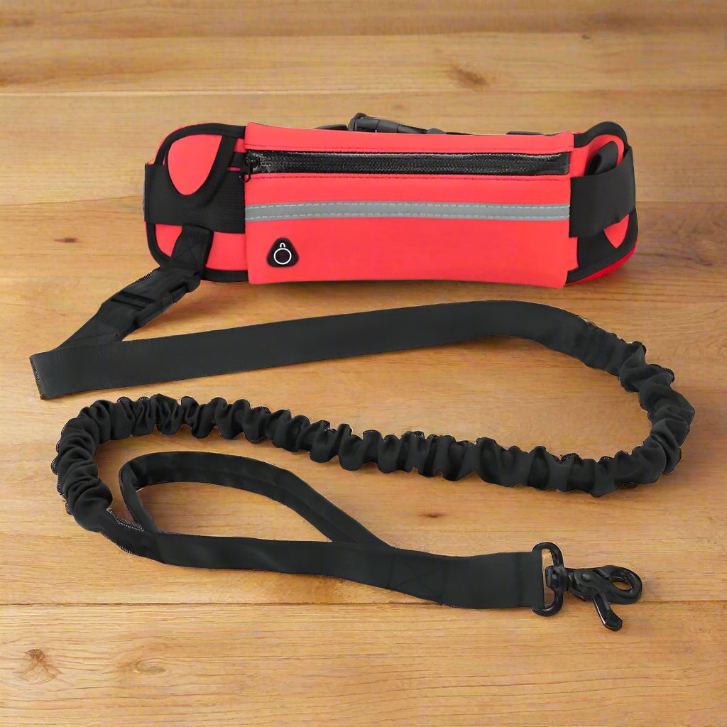 laisse corde pour chien rouge table