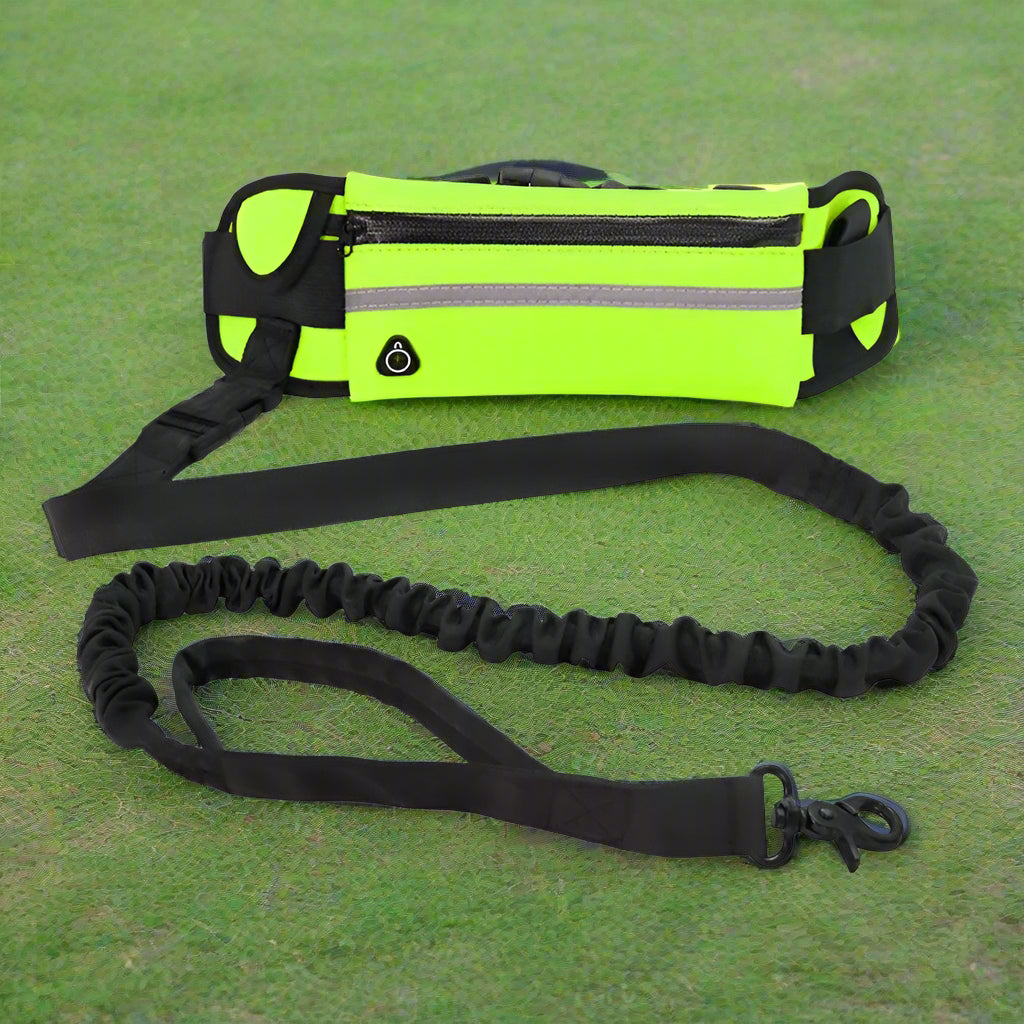 laisse corde pour chien vert pelouse