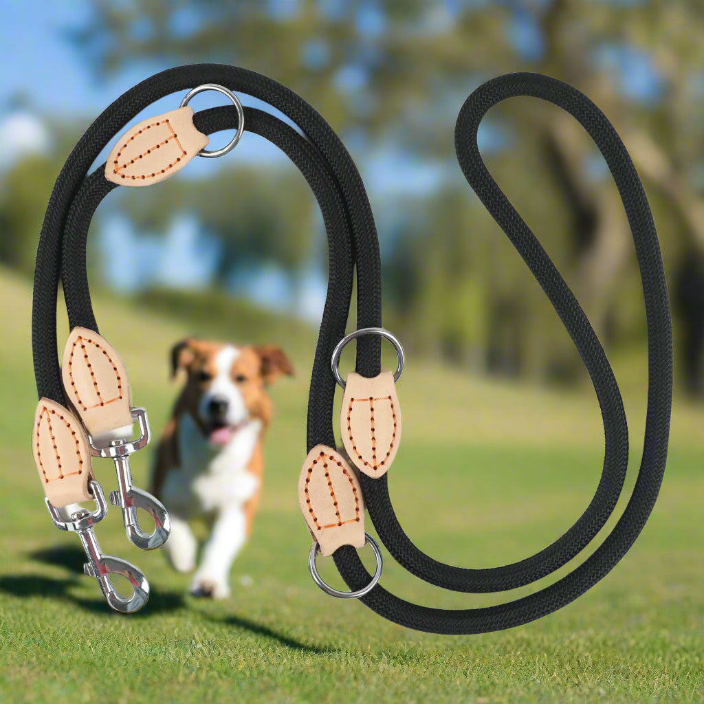 laisse double pour chien Marcheparfaite pelouse