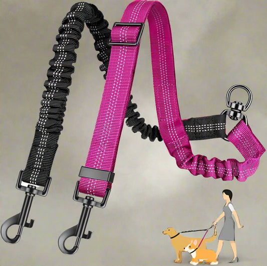 laisse double pour chien anti emmelemen rose rouge