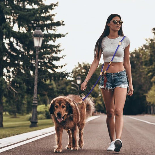 laisse double pour chien maitre route bleu gros