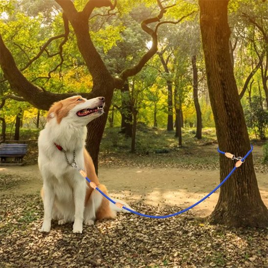 laisse double pour chien marcheparfait bleu arbres