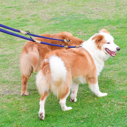 laisse double pour chien marcheparfait bleu