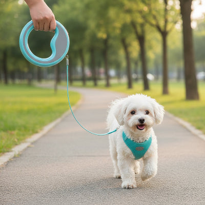 laisse longe pour chien bleu petit marche parc