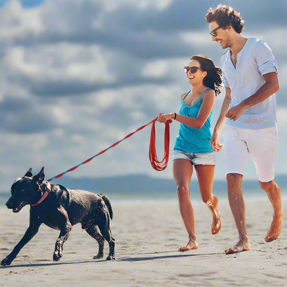 laisse pour chien achemin rouge deux maitres