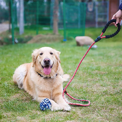 laisse pour chien amure eduic jouet