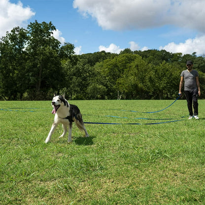 laisse pour chien anti traction bleu devant maitre