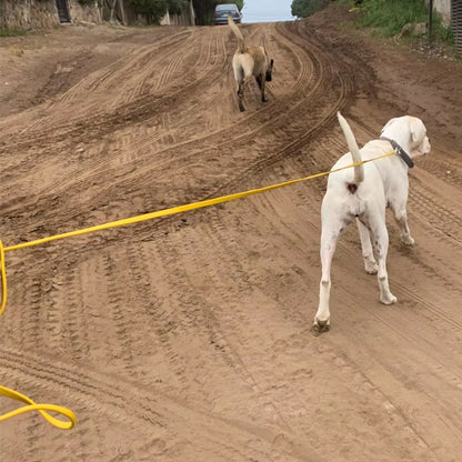 laisse pour chien anti traction jaune terre battue