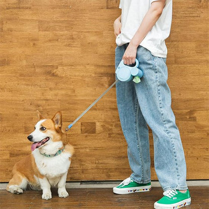 laisse pour chien assis bleu maitre debout mur bois 