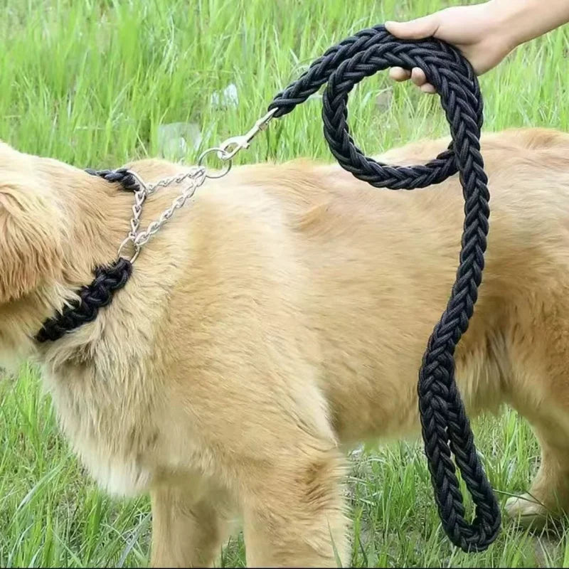 laisse pour chien boyau noir pelouse