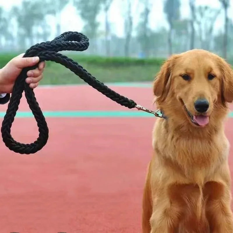 laisse pour chien boyau noir terrain maitre