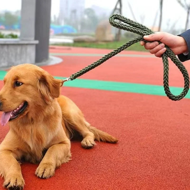 laisse pour chien boyau vert coucher