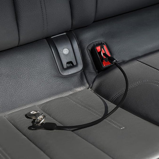 laisse-pour-chien-noir-routelha-chaise-auto