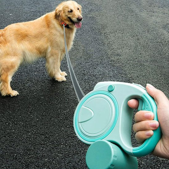 laisse pour chien rétractable vert marche